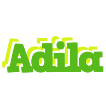 Adila picnic logo