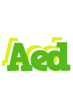 Aed picnic logo