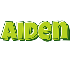 Aiden summer logo