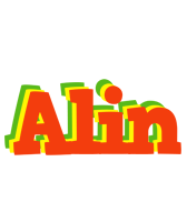 Alin bbq logo