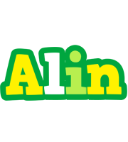 Alin soccer logo