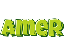 Amer summer logo