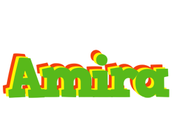 Amira crocodile logo