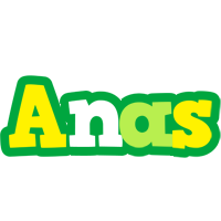 Anas soccer logo