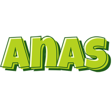 Anas summer logo