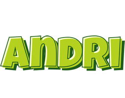 Andri summer logo