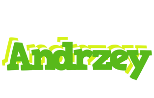 Andrzey picnic logo