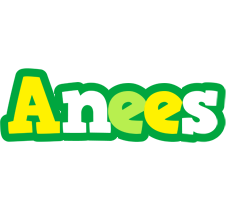 Anees soccer logo