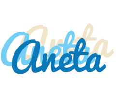 Aneta breeze logo