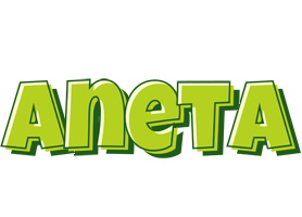 Aneta summer logo