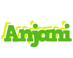 Anjani picnic logo