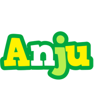 Anju soccer logo
