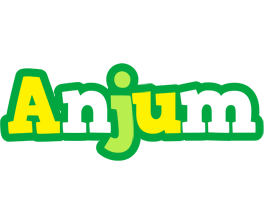 Anjum soccer logo