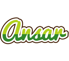 Ansar golfing logo