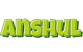 Anshul summer logo