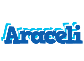 Araceli business logo