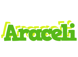 Araceli picnic logo