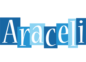 Araceli winter logo