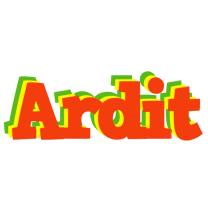 Ardit bbq logo