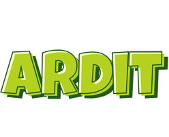 Ardit summer logo