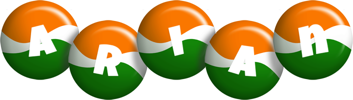 Arian india logo