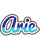 Arie raining logo