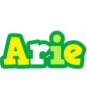 Arie soccer logo