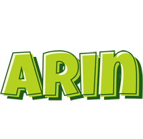 Arin summer logo