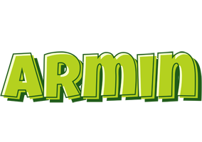 Armin summer logo
