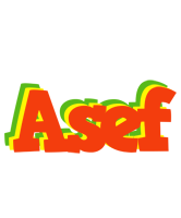 Asef bbq logo