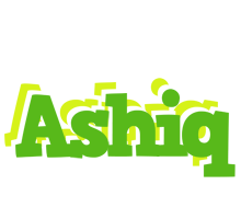 Ashiq picnic logo