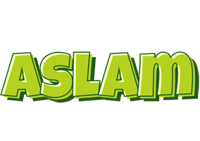 Aslam summer logo