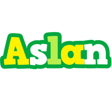 Aslan soccer logo