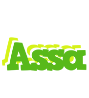 Assa picnic logo