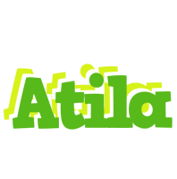 Atila picnic logo