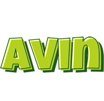 Avin summer logo