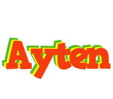 Ayten bbq logo
