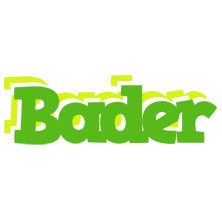 Bader picnic logo