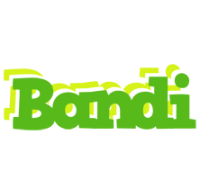 Bandi picnic logo