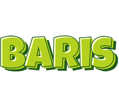 Baris summer logo