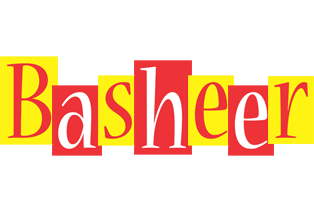 Basheer errors logo
