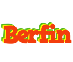 Berfin bbq logo