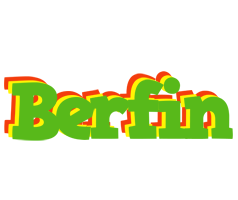 Berfin crocodile logo