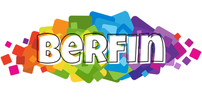 Berfin pixels logo