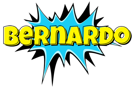Bernardo amazing logo