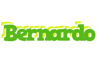 Bernardo picnic logo