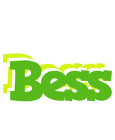 Bess picnic logo