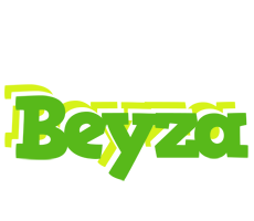 Beyza picnic logo