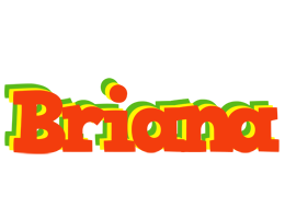 Briana bbq logo
