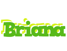 Briana picnic logo